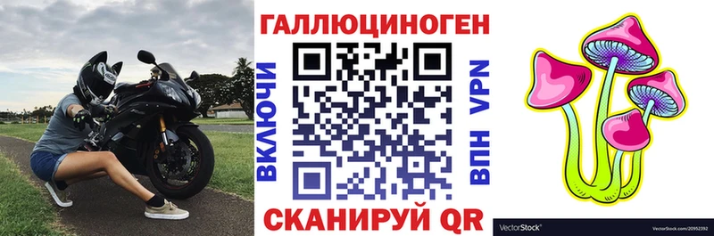 Галлюциногенные грибы Magic Shrooms  продажа наркотиков  Муром 
